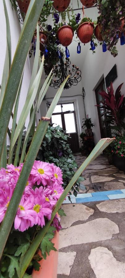 El Jardin De La Abuela Hotel Querétaro Buitenkant foto