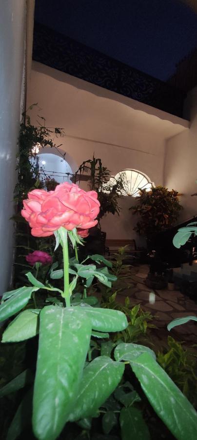 El Jardin De La Abuela Hotel Querétaro Buitenkant foto